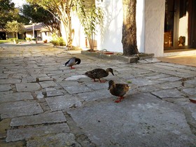 Hotel Les Rizieres
