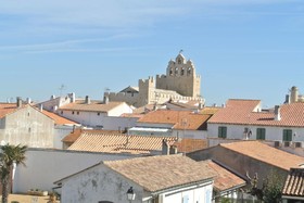 Les Palmiers