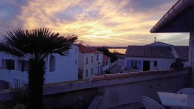 Les Palmiers