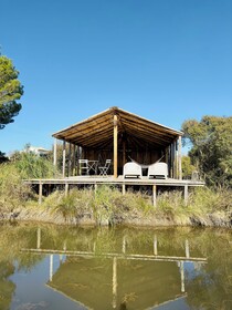Mas Du Couvin - Maison D'hotes Camargue