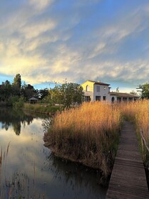 Mas Du Couvin - Maison D'hotes Camargue