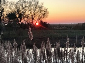 Mas Du Couvin - Maison D'hotes Camargue