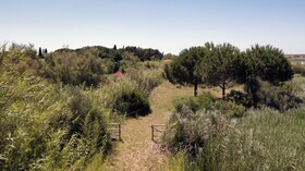 Mas Du Couvin - Maison D'hotes Camargue