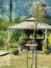 Mas Du Couvin - Maison D'hotes Camargue