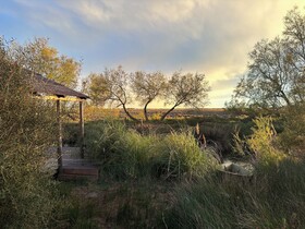 Mas Du Couvin - Maison D'hotes Camargue