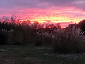 Mas Du Couvin - Maison D'hotes Camargue