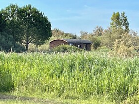 Mas Du Couvin - Maison D'hotes Camargue