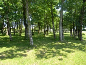 Le Moulia