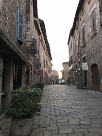 Hotel Raymond VII