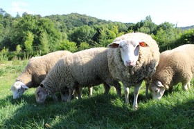 Ecogîte Rural La Clé Des Champs