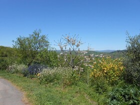 Gîte & Chambre D'hôtes Des Monts