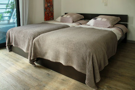 Cléome Chambre D'hôte