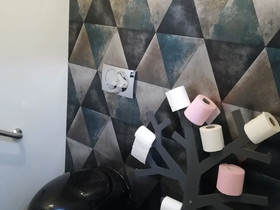 Cléome Chambre D'hôte