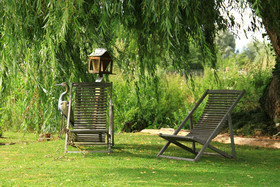 Cléome Chambre D'hôte