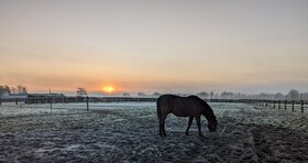 Le Gite Du Haras D'havetot