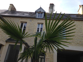 Villa Camellia Bayeux Centre