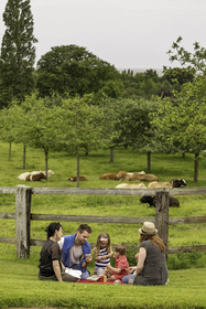 Domaine de la Tour