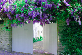 Glycines Country Guesthouse