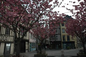 Rouen Quartier St Maclou