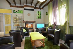 Brit Hotel Le Cygne