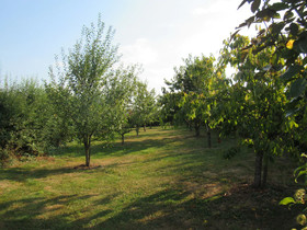 Maison Magdala