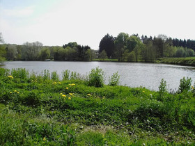 Chambres d'hôtes La Forge de l'Abbaye