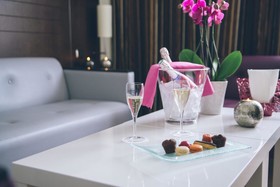 Hôtel Mercure Angers Lac de Maine