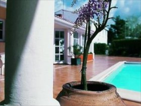 Hôtel de l'Antiquité