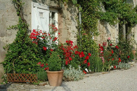 Chateau de l'Oiseliniere