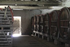 Chateau de l'Oiseliniere