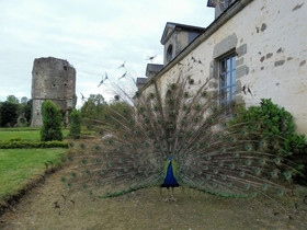 Château de la Chasse-Guerre