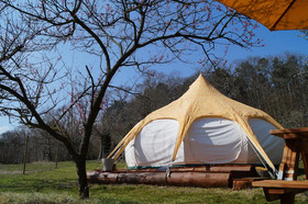 Loire Valley Llama Farm Stay
