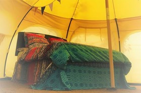 Loire Valley Llama Farm Stay