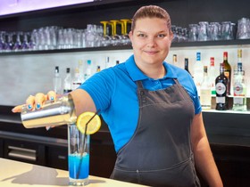 Mercure Le Mans Batignolles Hotel