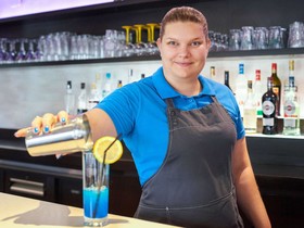 Mercure Le Mans Batignolles Hotel