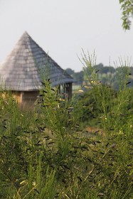 Terragora Lodges