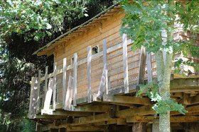 Cabane Dans Les Arbres - Le Nid Dans Le Chêne