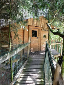 Cabane Dans Les Arbres - Le Nid Dans Le Chêne