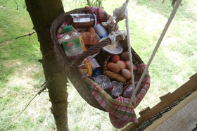 Cabane Dans Les Arbres - Le Nid Dans Le Chêne