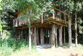 Cabane Dans Les Arbres - Le Nid Dans Le Chêne