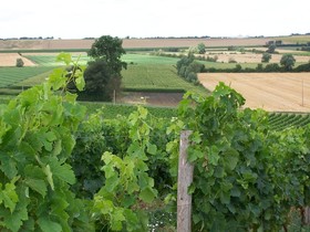 Chateau de la Sebrandiére