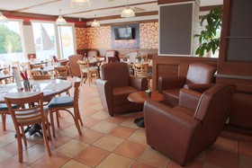 ibis Albert