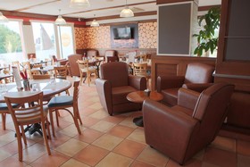 ibis Albert