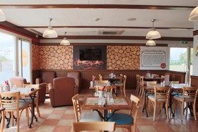ibis Albert