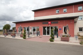 ibis Albert