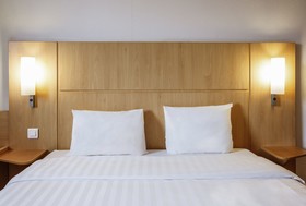 ibis Albert
