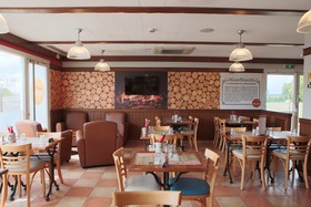 ibis Albert