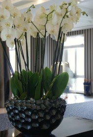 Mercure Chantilly Resort & Conventions