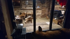 La Cabane Aux Loups