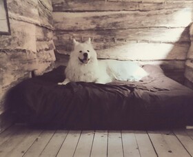 La Cabane Aux Loups